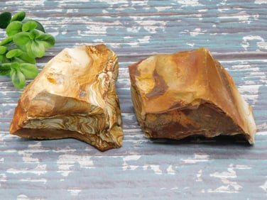 JASPER ROCK STONE LAPIDARY SPECIMEN