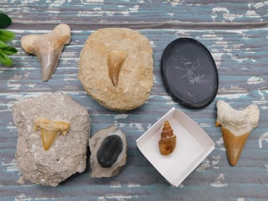 MIXED LOT ROCK STONE LAPIDARY SPECIMEN