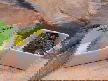 MIXED ROUGH LOT ROCK STONE LAPIDARY SPECIMEN