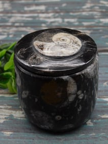 ORTHOCERAS TRINKET BOX ROCK STONE LAPIDARY SPECIMEN