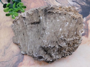 ROCK STONE LAPIDARY SPECIMEN