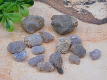 ELLENSBURG AGATE ROCK STONE LAPIDARY SPECIMEN