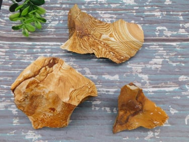 JASPER ROCK STONE LAPIDARY SPECIMEN