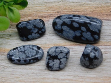 SNOWFLAKE OBSIDIAN ROCK STONE LAPIDARY SPECIMEN