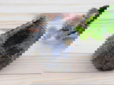 SODALITE POINT ROCK STONE LAPIDARY SPECIMEN