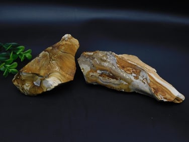 JASPER ROCK STONE LAPIDARY SPECIMEN