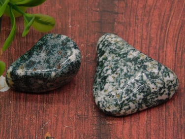 TREE AGATE ROCK STONE LAPIDARY SPECIMEN