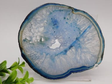 AGATE SLICE ROCK STONE LAPIDARY SPECIMEN