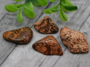 STARBURST JASPER ROCK STONE LAPIDARY SPECIMEN