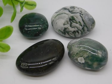 TREE AGATE ROCK STONE LAPIDARY SPECIMEN