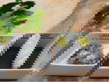 MIXED LOT ROCK STONE LAPIDARY SPECIMEN