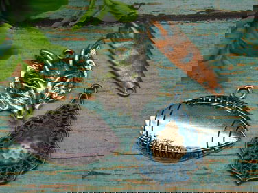 MIXED PENDANTS ROCK STONE LAPIDARY SPECIMEN