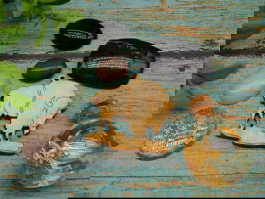 MIXED LOT ROCK STONE LAPIDARY SPECIMEN