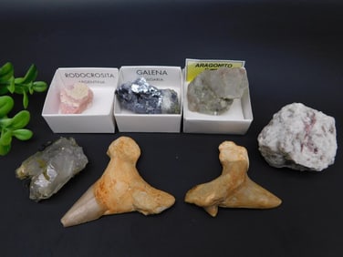 MIXED LOT ROCK STONE LAPIDARY SPECIMEN