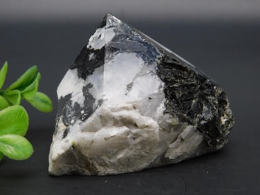 TOURMALINE IN QUARTZ ROCK STONE LAPIDARY SPECIMEN