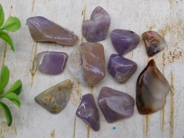 ROYAL AZTEC LACE ROCK STONE LAPIDARY SPECIMEN