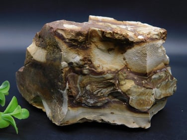 JASPER ROCK STONE LAPIDARY SPECIMEN