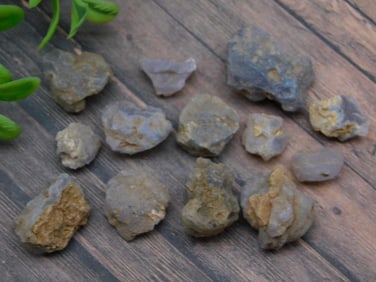 ELLENSBURG AGATE ROCK STONE LAPIDARY SPECIMEN