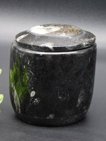 ORTHOCERAS TRINKET BOX ROCK STONE LAPIDARY SPECIMEN