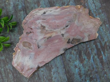 Pink Opal Slab Rock Stone Lapidary Specimen