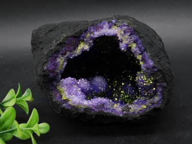 Purple and Gold Geode Rock Stone Lapidary Specimen Cluster