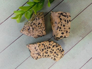 DALMATION JASPER ROCK STONE LAPIDARY SPECIMEN