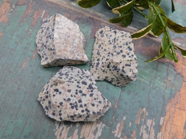 DALMATION JASPER ROCK STONE LAPIDARY SPECIMEN