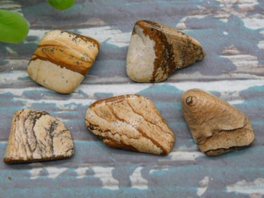 PICTURE JASPER ROCK STONE LAPIDARY SPECIMEN