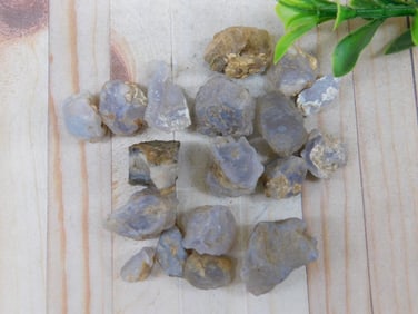 ELLENSBURG AGATE ROCK STONE LAPIDARY SPECIMEN