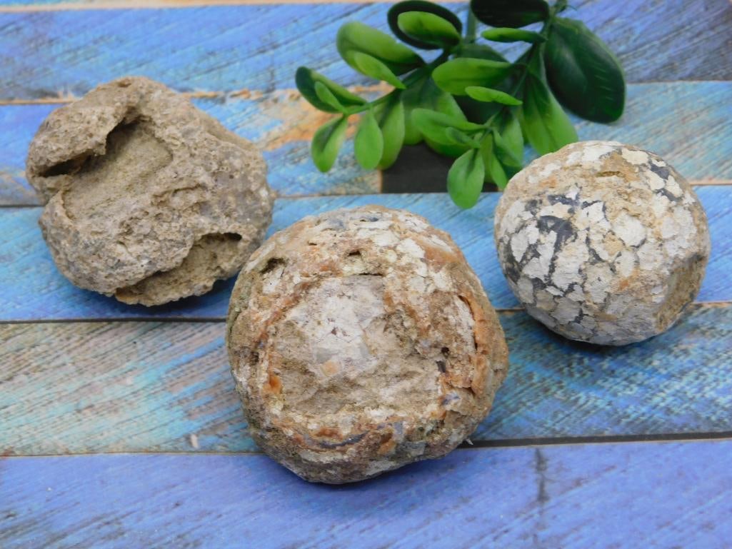 MEXICAN AGATE ROCK STONE LAPIDARY SPECIMEN: MEXICAN AGATE ROCK STONE LAPIDARY SPECIMEN