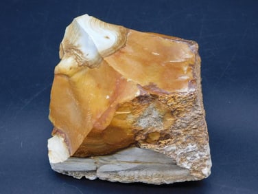 JASPER ROCK STONE LAPIDARY SPECIMEN