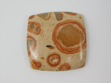 FOSSIL STONE CABOCHON ROCK STONE LAPIDARY SPECIMEN