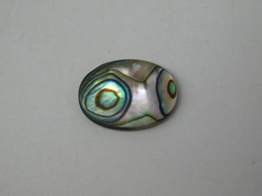 ABALONE CABOCHON ROCK STONE LAPIDARY SPECIMEN