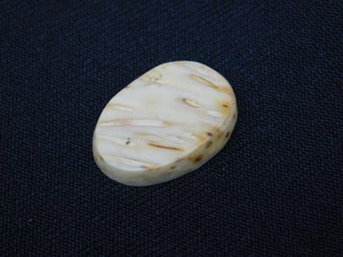 PETRIFIED PALM WOOD CABOCHON ROCK STONE LAPIDARY SPECIMEN