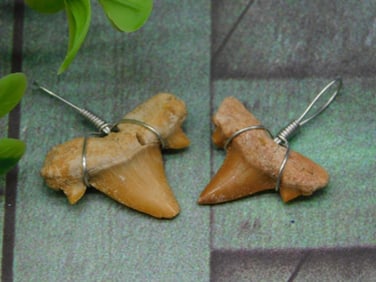 SHARK TEETH PENDANTS ROCK STONE LAPIDARY SPECIMEN