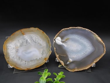 AGATE SLICES ROCK STONE LAPIDARY SPECIMEN