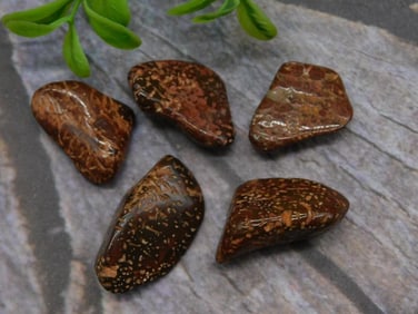 STARBURST JASPER ROCK STONE LAPIDARY SPECIMEN