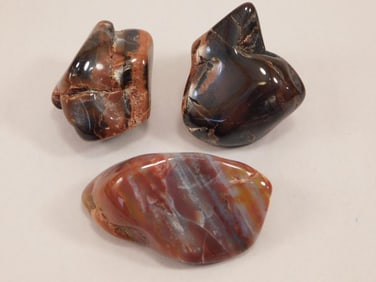 PETRIFIED WOOD ROCK STONE LAPIDARY SPECIMEN
