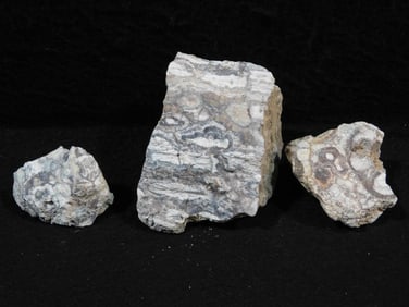 RHYOLITE ROCK STONE LAPIDARY SPECIMEN