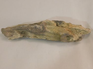 PETRIFIED WOOD ROCK STONE LAPIDARY SPECIMEN