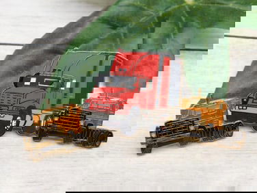 MIXED PINS