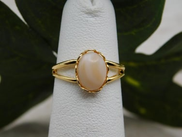 BANDED AGATE RING ROCK STONE LAPIDARY SPECIMEN