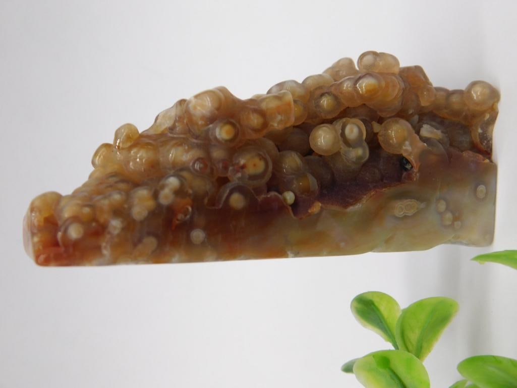 Agate Mineral Rock Stone Lapidary Specimen?With Knobby Texture: A unique polished agate mineral specimen featuring a knobby texture and a vibrant mix of earthy tones. The piece exhibits a striking range of colors and patterns, reflecting its natural origin. Includ