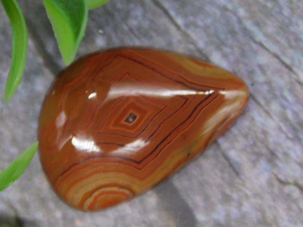 Polished Banded Agate Teardrop Cabochon: Polished teardrop-shaped banded agate cabochon featuring sharp lines and vibrant coloration. It weighs 5 grams, as displayed on the label, and is shown alongside a U.S. quarter for scale. Suitable for