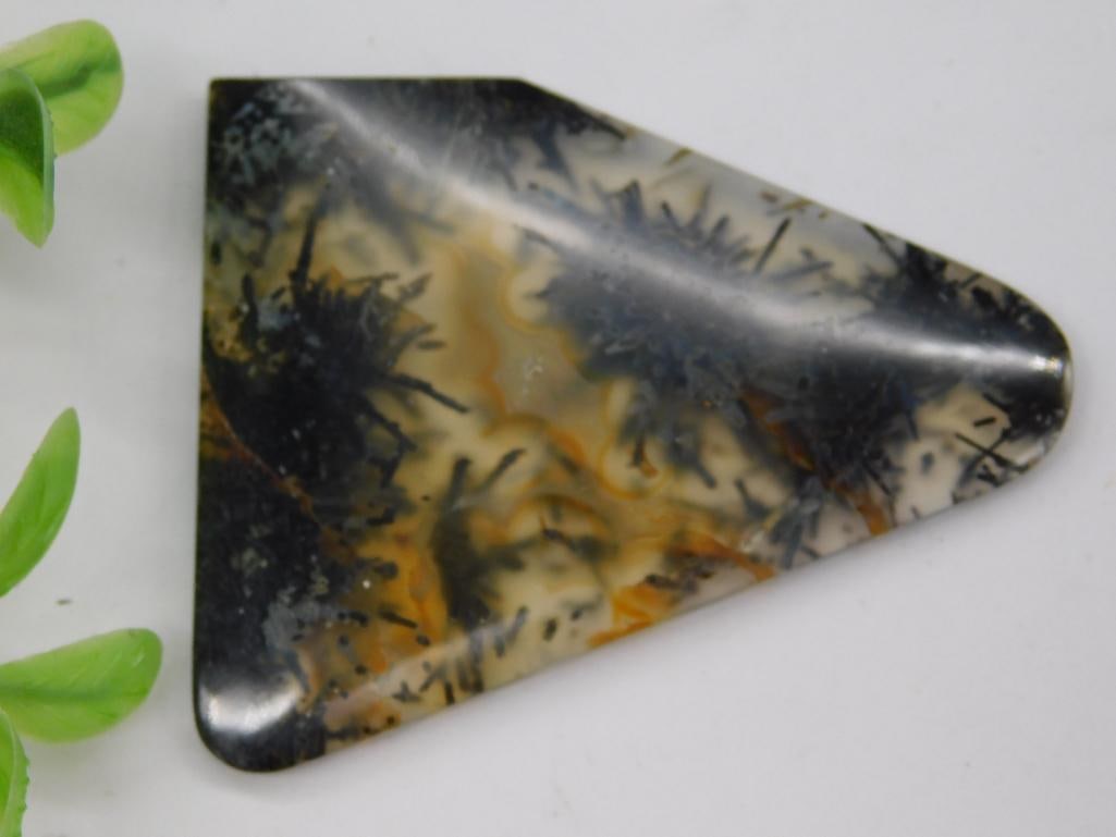 Polished Dendritic Agate Gemstone Slab: Polished dendritic agate slab showcasing unique, tree-like inclusions. Cut into a triangular shape, as seen next to a US quarter for scale reference. Ideal for lapidary projects, jewelry making, or mi