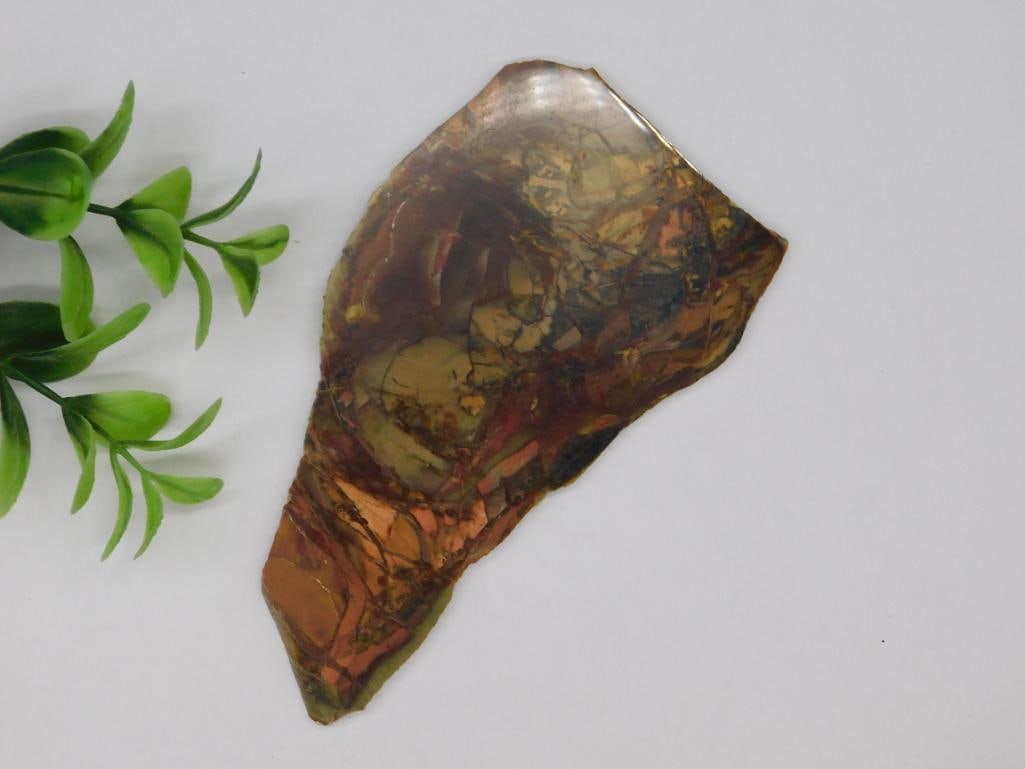MORRISONITE JASPER SLAB ROCK STONE LAPIDARY SPECIMEN: MORRISONITE JASPER SLAB ROCK STONE LAPIDARY SPECIMEN