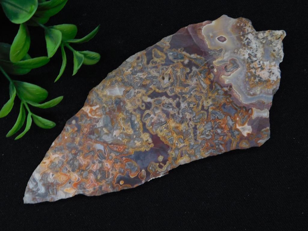 PLUME AGATE SLICE ROCK STONE LAPIDARY SPECIMEN: PLUME AGATE SLICE ROCK STONE LAPIDARY SPECIMEN