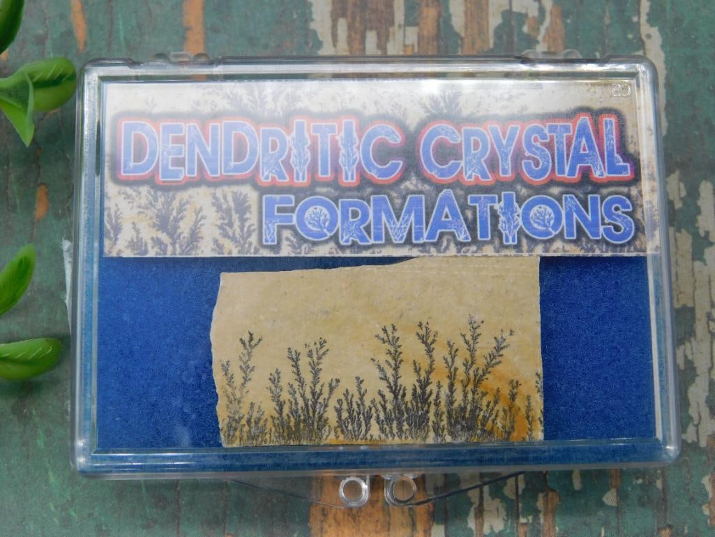 Dendritic Crystal Formations in Display Case: A specimen of dendritic crystal formations displayed in a clear plastic case. The crystal was formed in natural iron and manganese oxides on Jurassic limestone approximately 135 million years ago. Inc