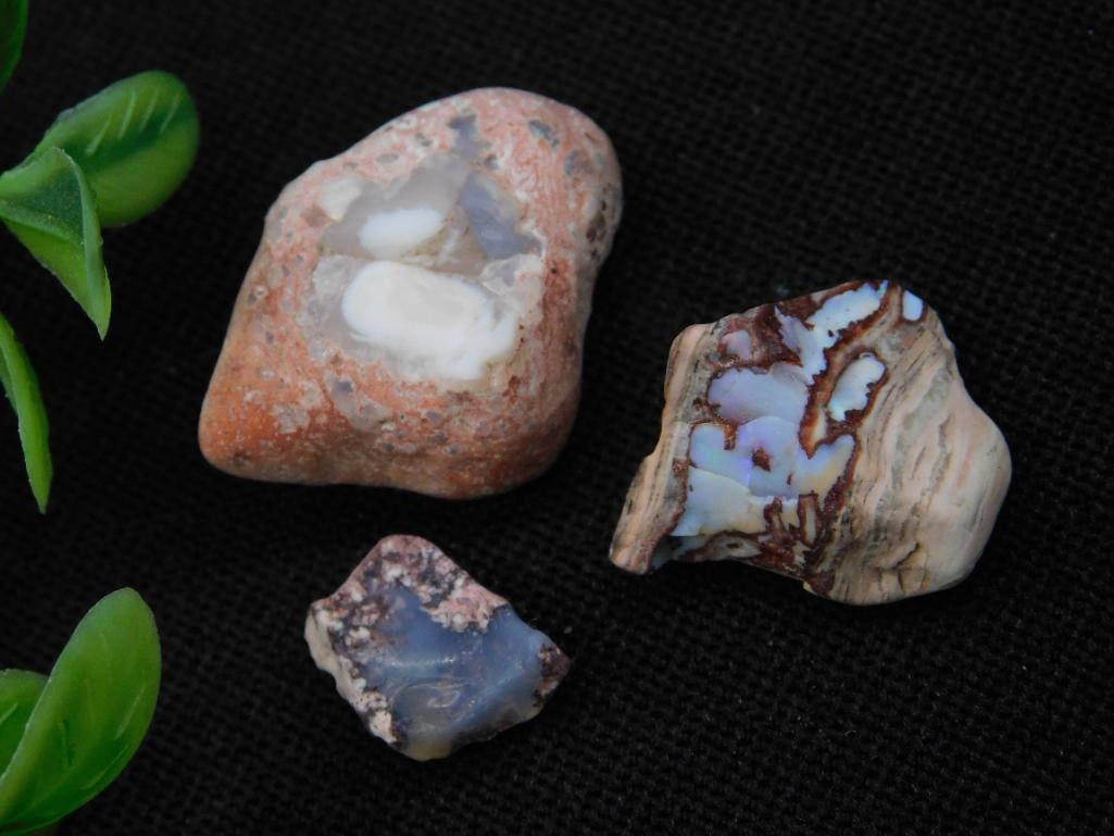 Lot of Three Unique Polished Agate Rock Specimens: This lot features three polished agate rock specimens, each showcasing distinctive patterns and natural colors. The rocks vary in size and surface details, offering a range of aesthetic appearances. C