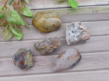 ROCK STONE LAPIDARY SPECIMEN